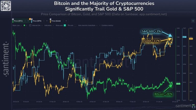 An In Depth Perspective
